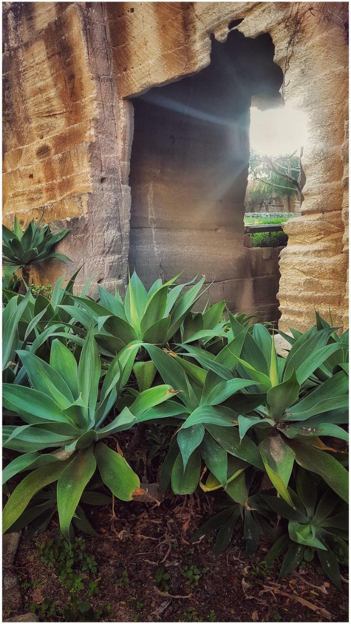 Giardino Dell'impossibile Di Antonino Campo * Favignana