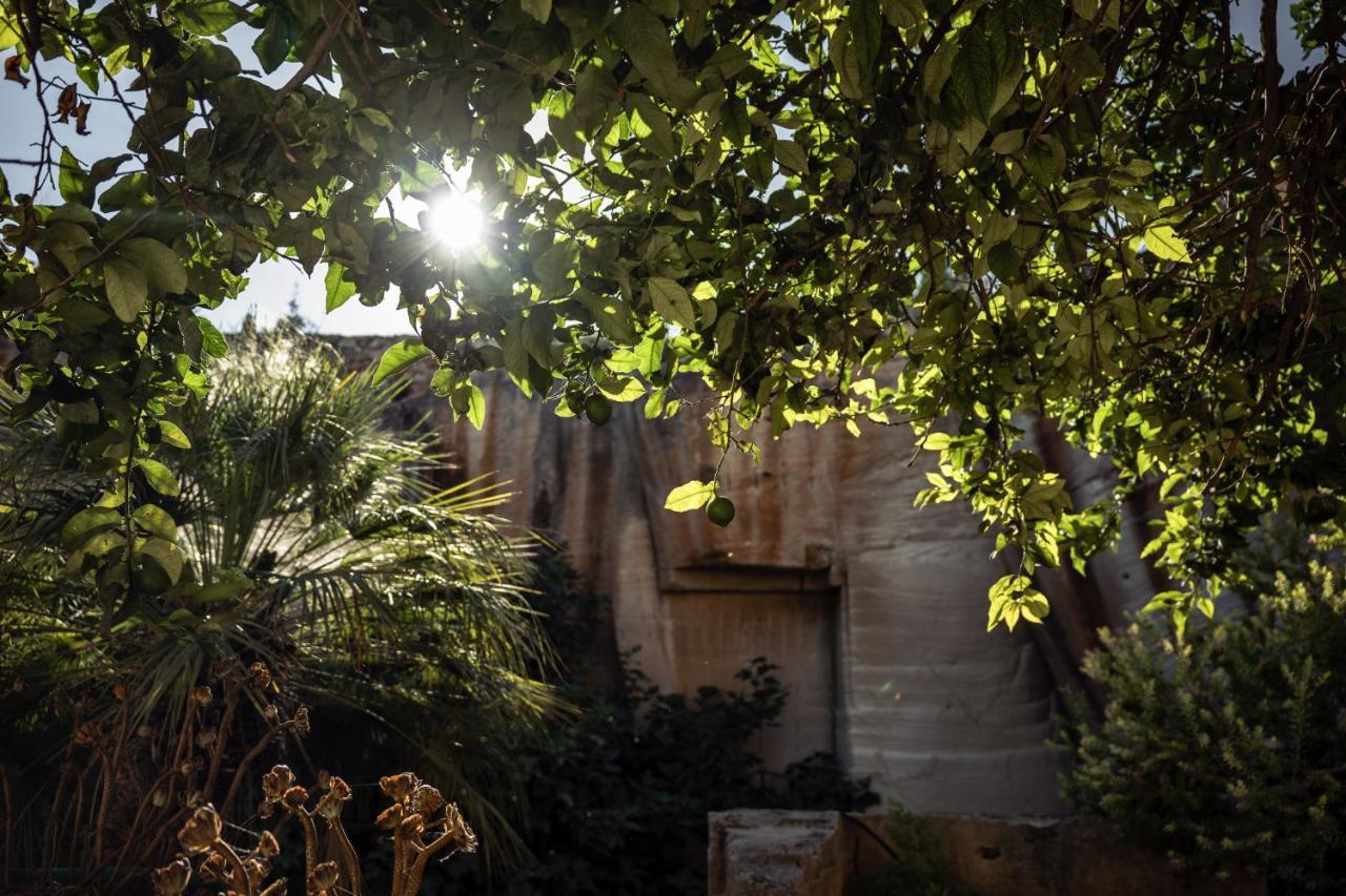 Giardino Dell'impossibile Di Antonino Campo * Favignana
