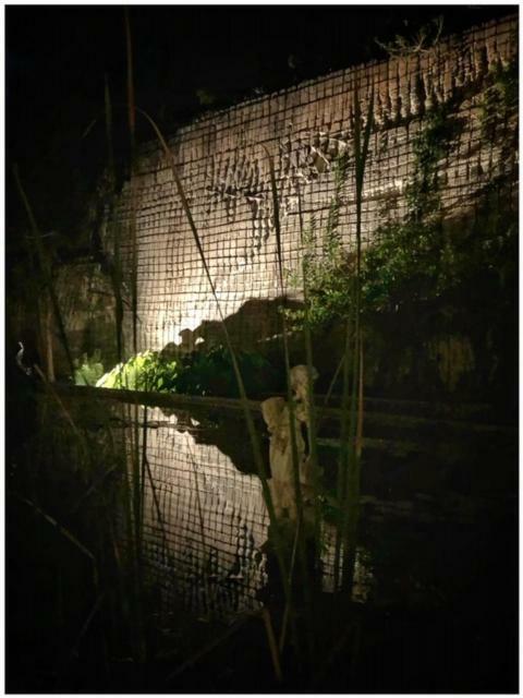 Apartment Giardino Dell'impossibile Di Antonino Campo